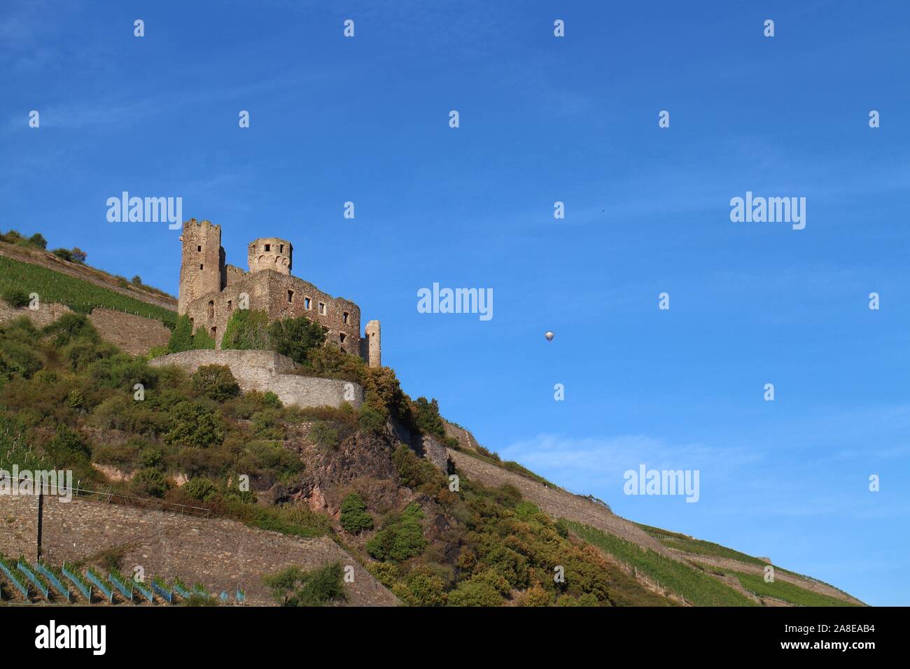 Ehrenfels Castle on a hill with hot air balloon, near Rüdesheim, Hesse, Germany, part of the 'Upper Middle Rhine Valley' UNESCO world heritage site. Stock Photo