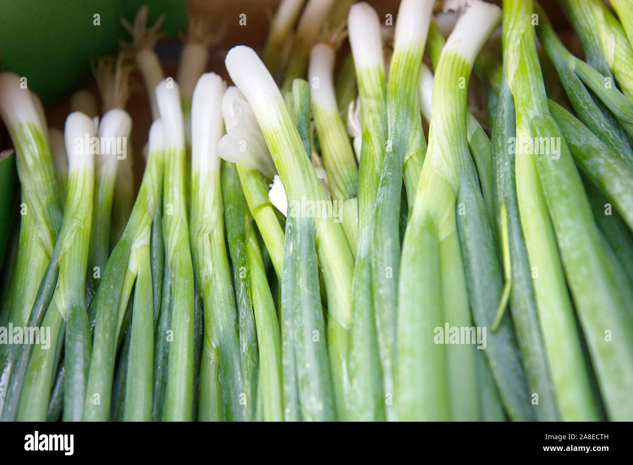 Peeled red onions hi-res stock photography and images - Alamy