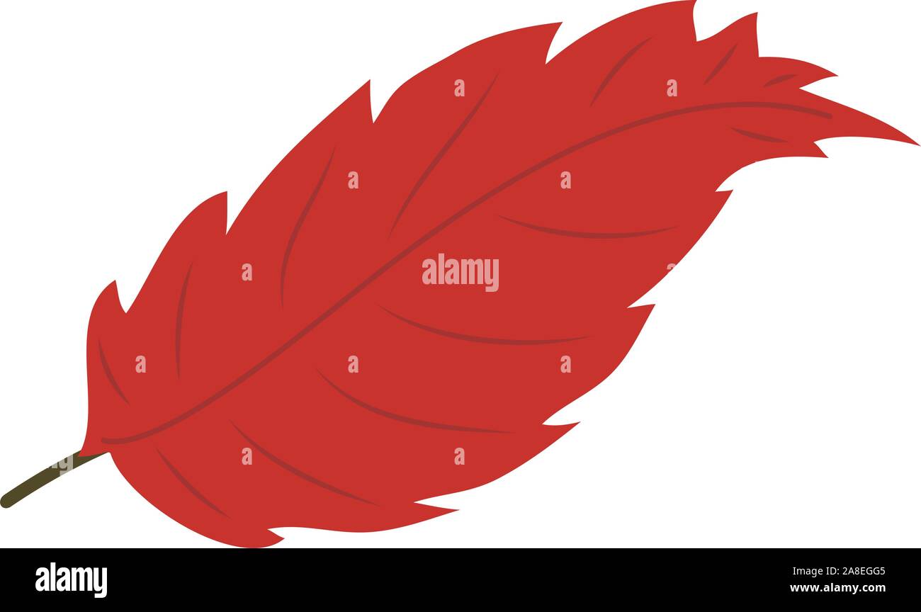 Isolated colored autumn leaf image - Vector illustration Stock Vector ...