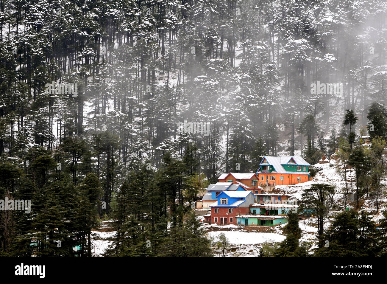 191108 Jammu Nov 8 2019 Xinhua Snow Envelops