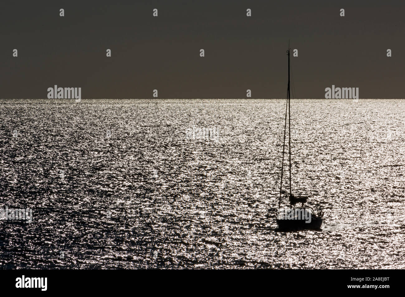 Rønne; Bornholm, Kueste, Meer, Sonnenlicht, Segelboot, Gegenlicht Stock Photo