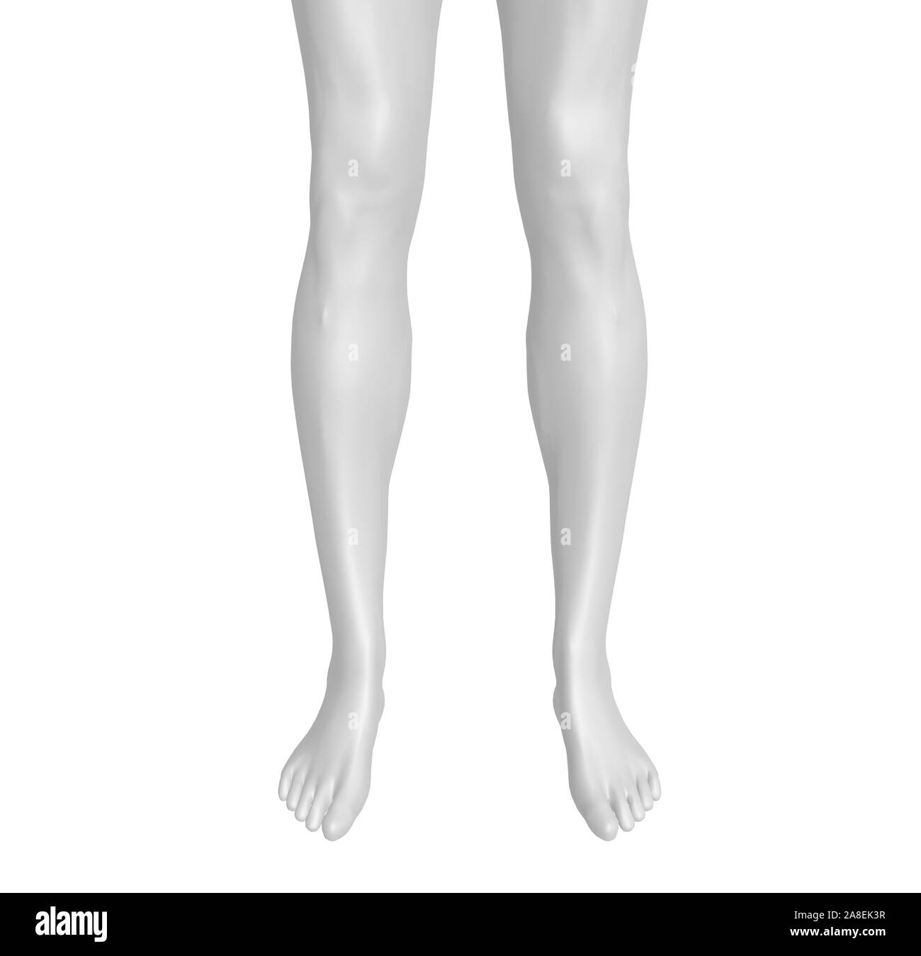 Human 3D Rendering Legs isolated on white Stock Photo - Alamy