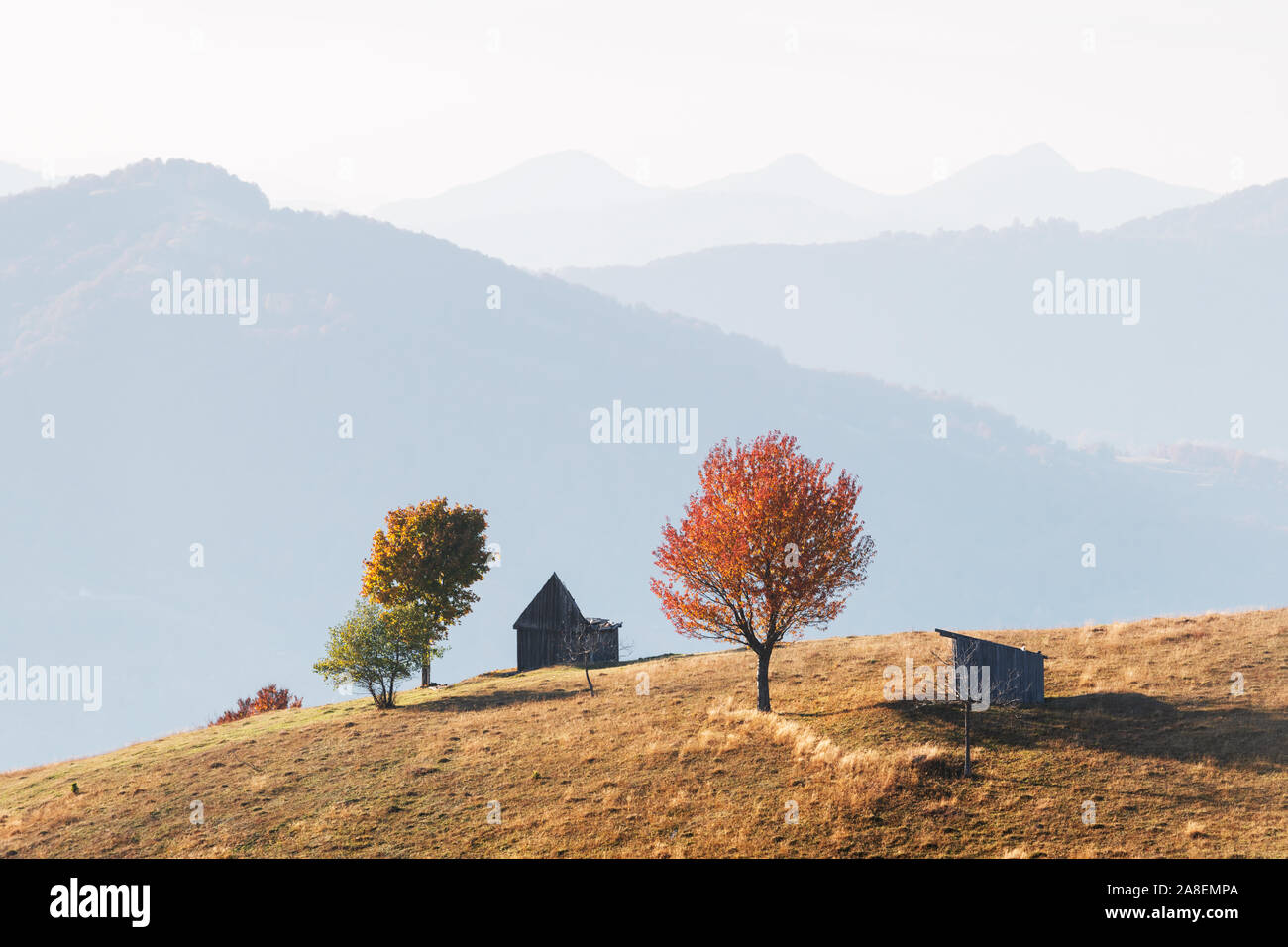 Picturesque autumn meadow with wooden house and red beech trees in the Carpathian mountains, Ukraine. Landscape photography Stock Photo