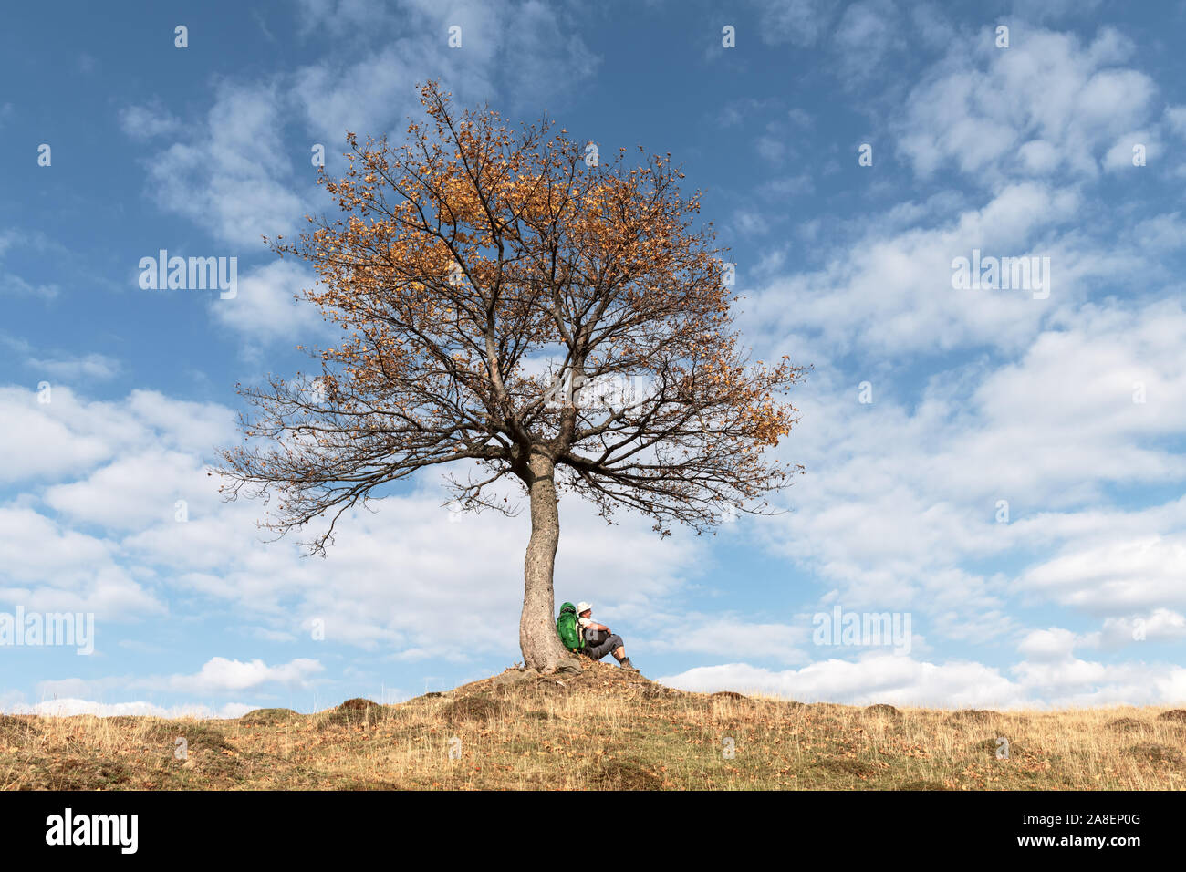Tourist sitting under majestic orange tree at autumn mountain valley. Dramatic colorful fall scene with blue cloudy sky. Landscape photography Stock Photo