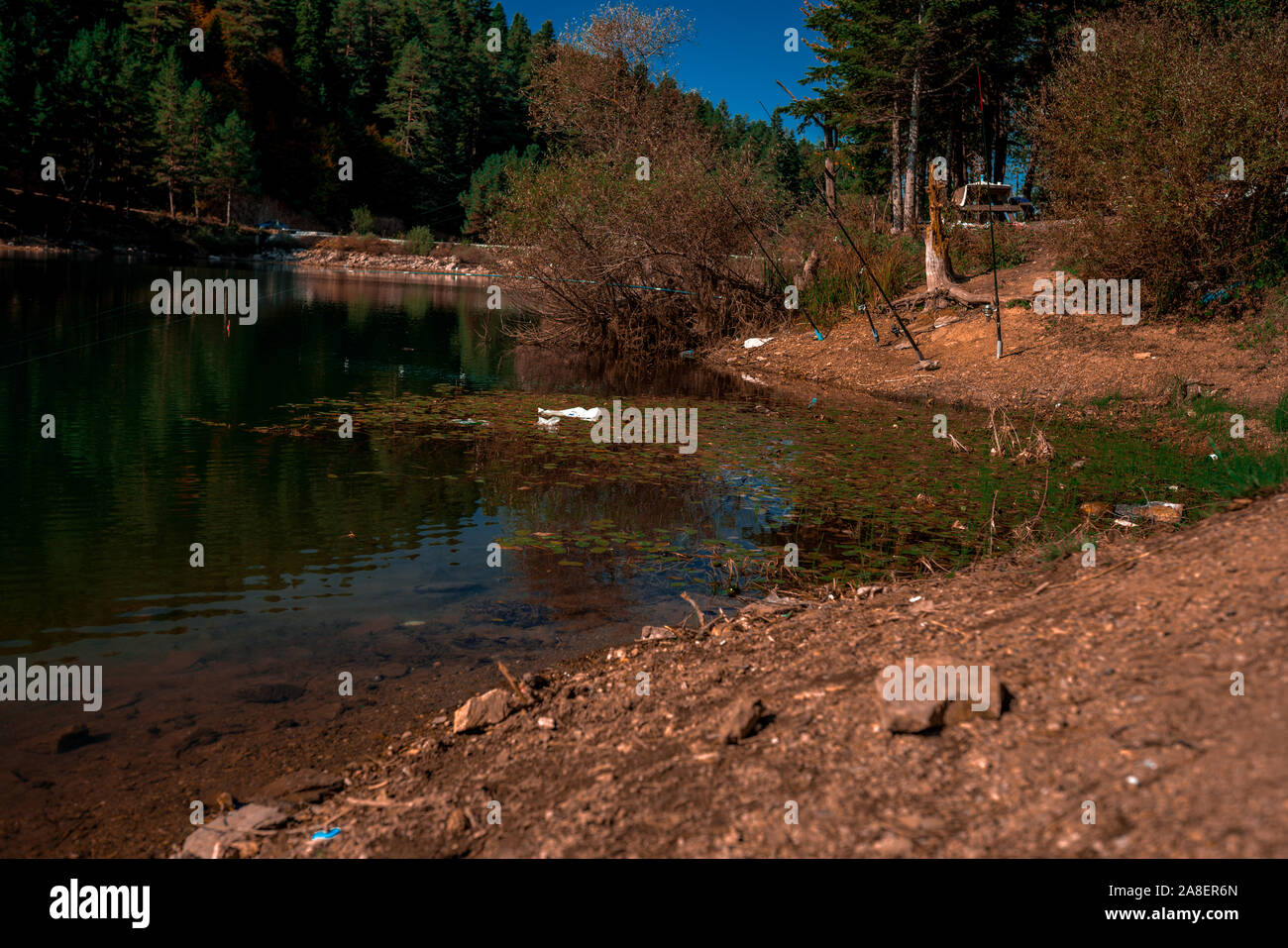 lake in forest in autumn. moody tint Stock Photo Alamy