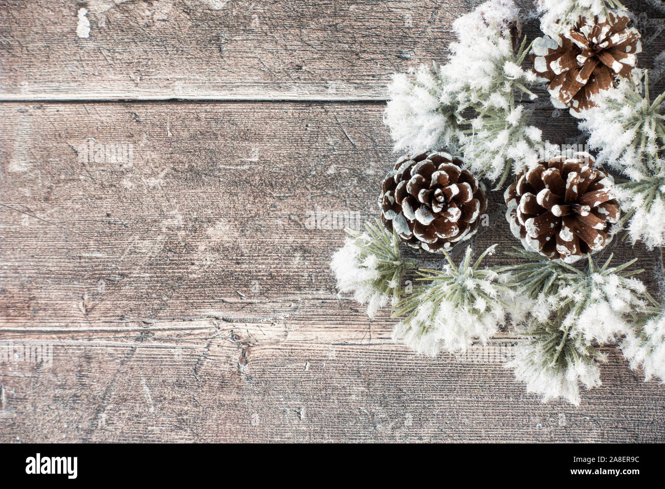 Snow covered atlas cedar branch and pine cones on brown rustic wood with copy space. Top view. Stock Photo