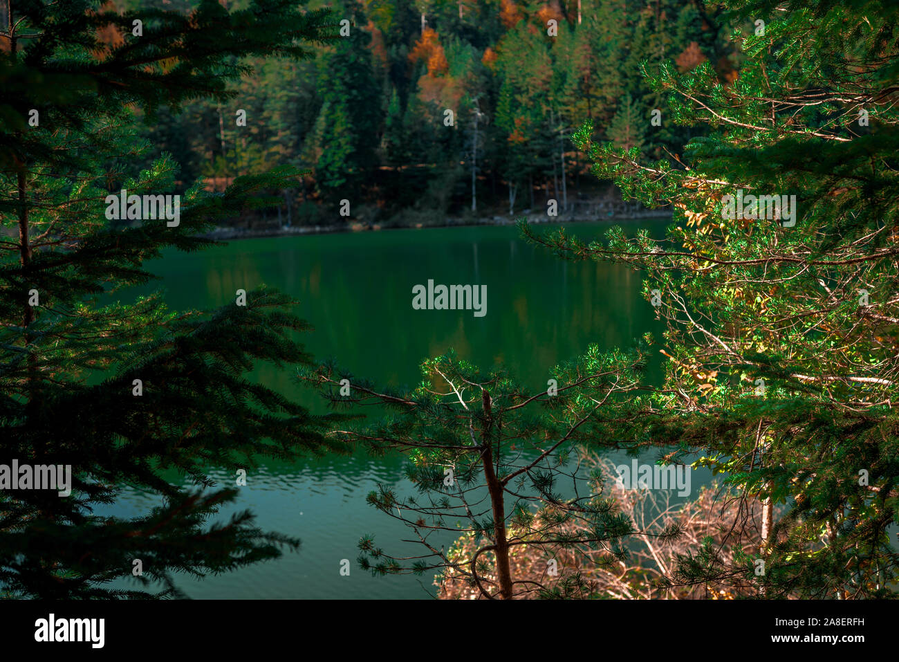 lake in forest in autumn. moody tint Stock Photo Alamy