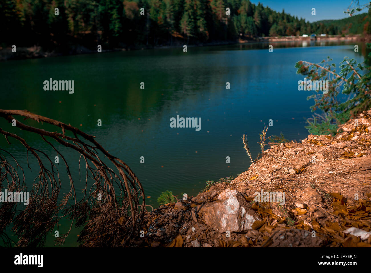 lake in forest in autumn. moody tint Stock Photo Alamy