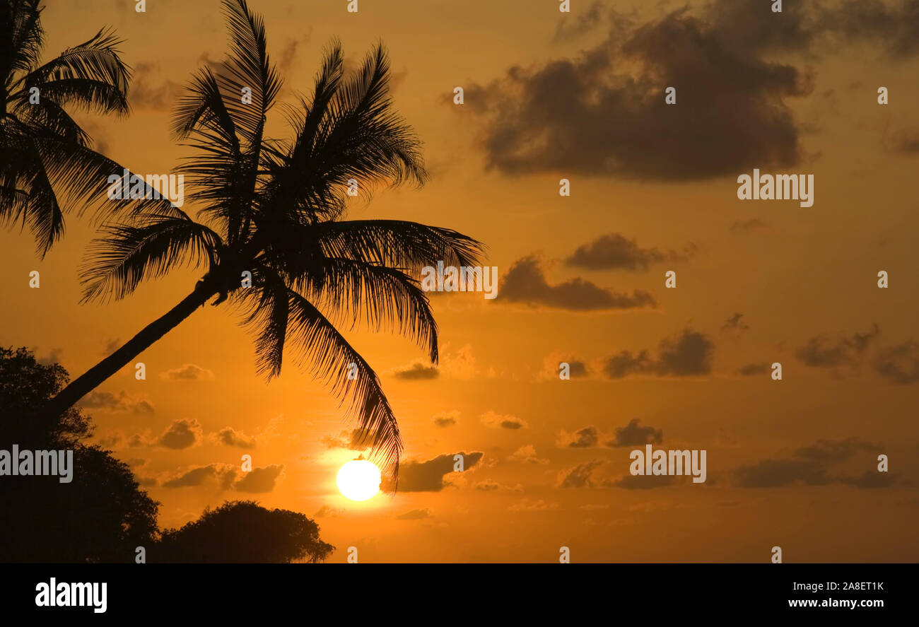 Sonnenuntergang am Traumstrand, Karibik Stock Photo - Alamy