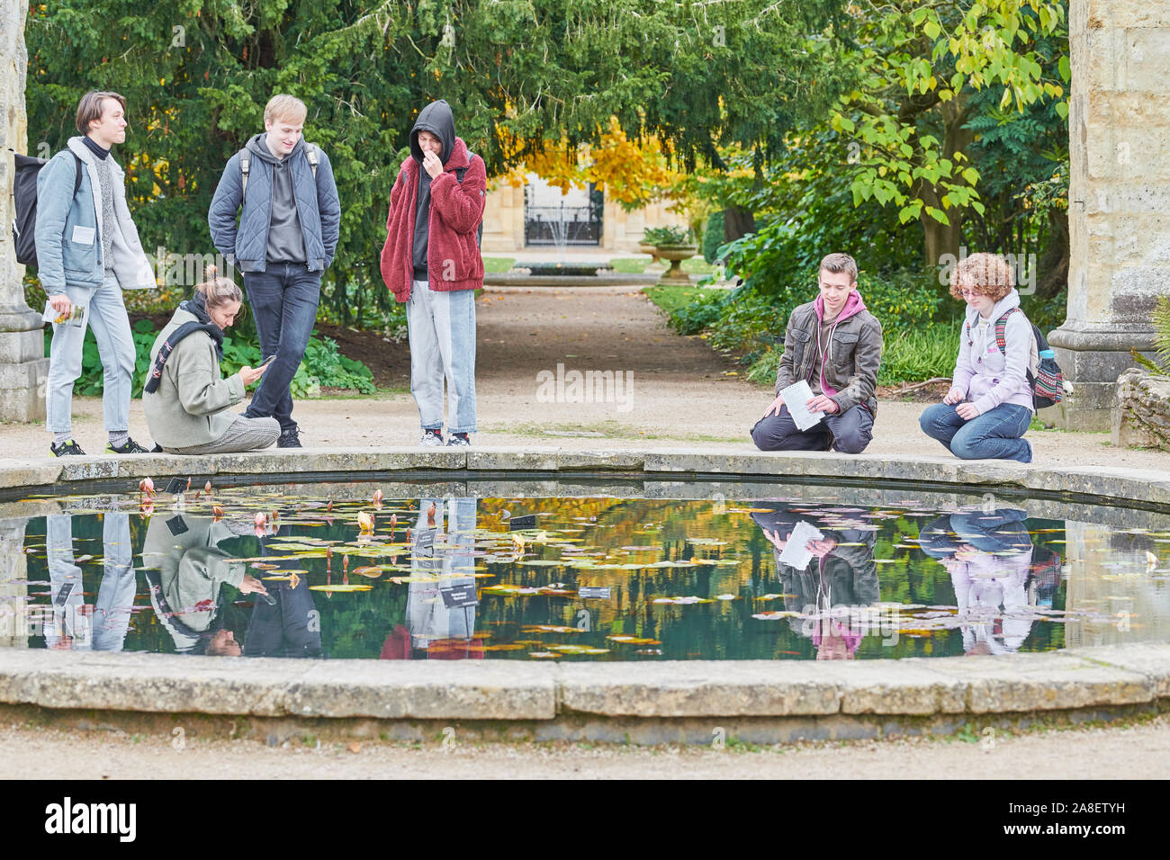 Students at the fish pond during late autumn at the botanic garden of the university of Oxford, England. Stock Photo