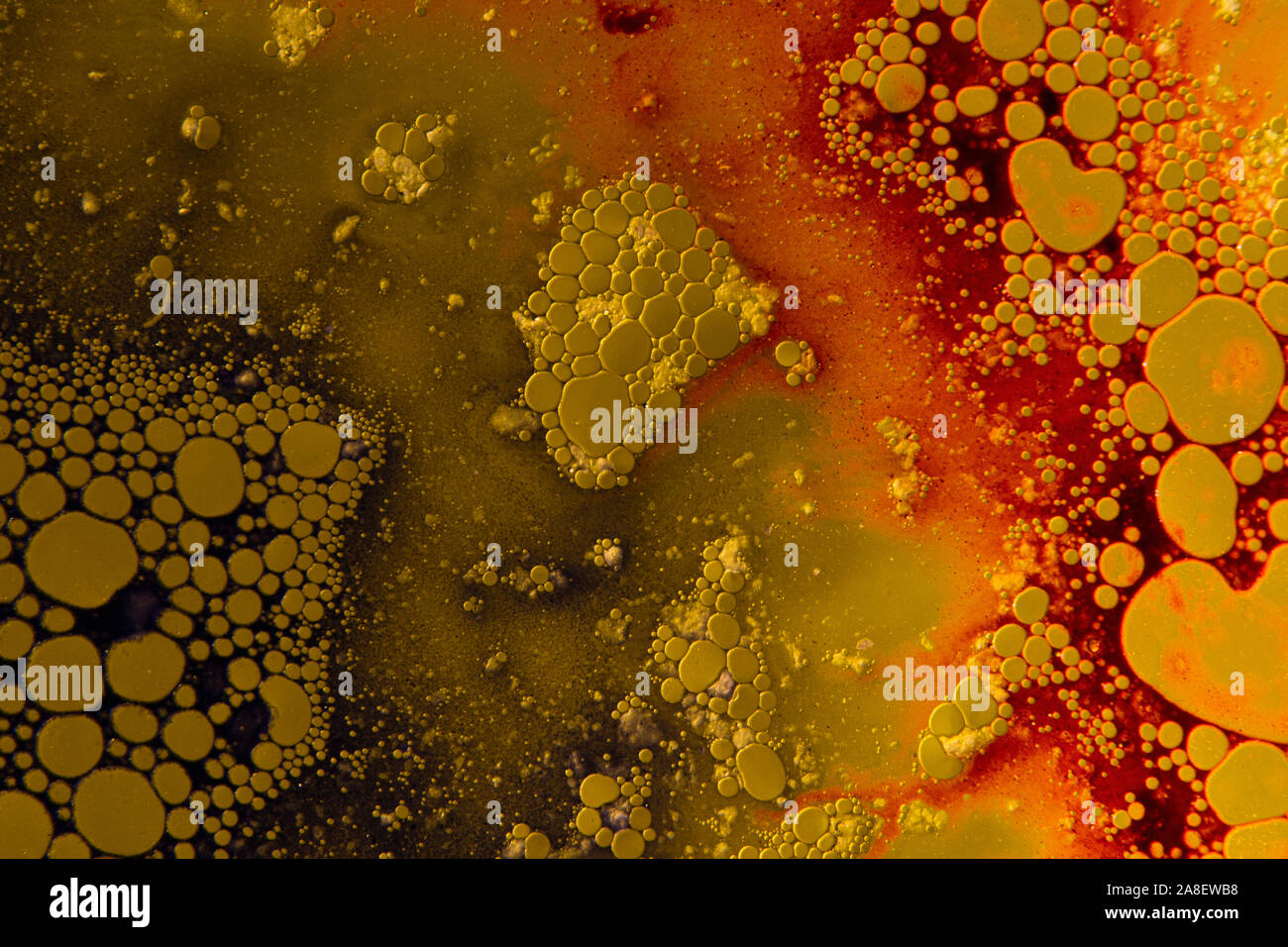 red yellow abstract background with oil bubbles Stock Photo