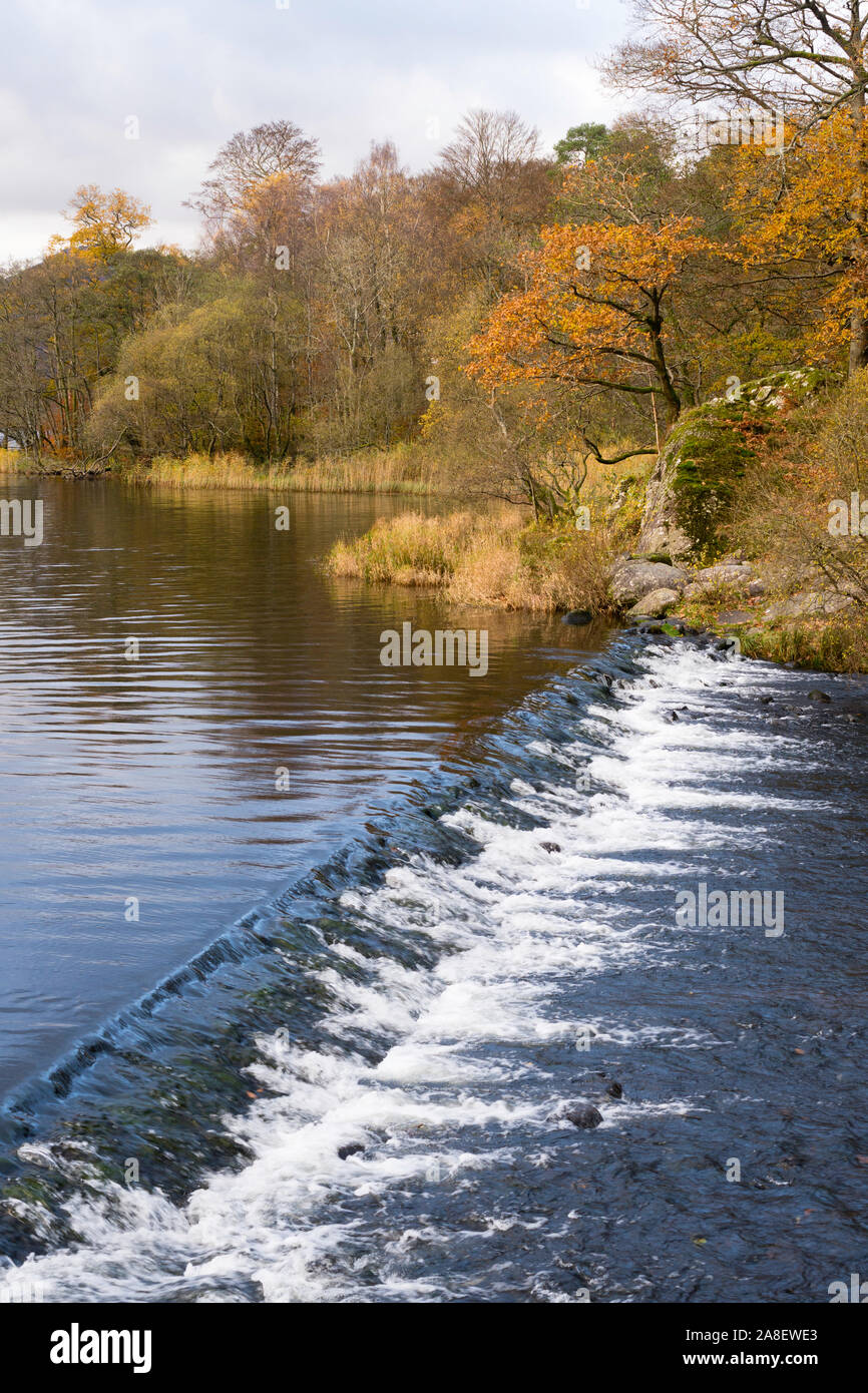 An autumn view of the river Rothay flowing over a weir as it leaves Grasmere, in the Lake District, Cumbria, England, UK Stock Photo