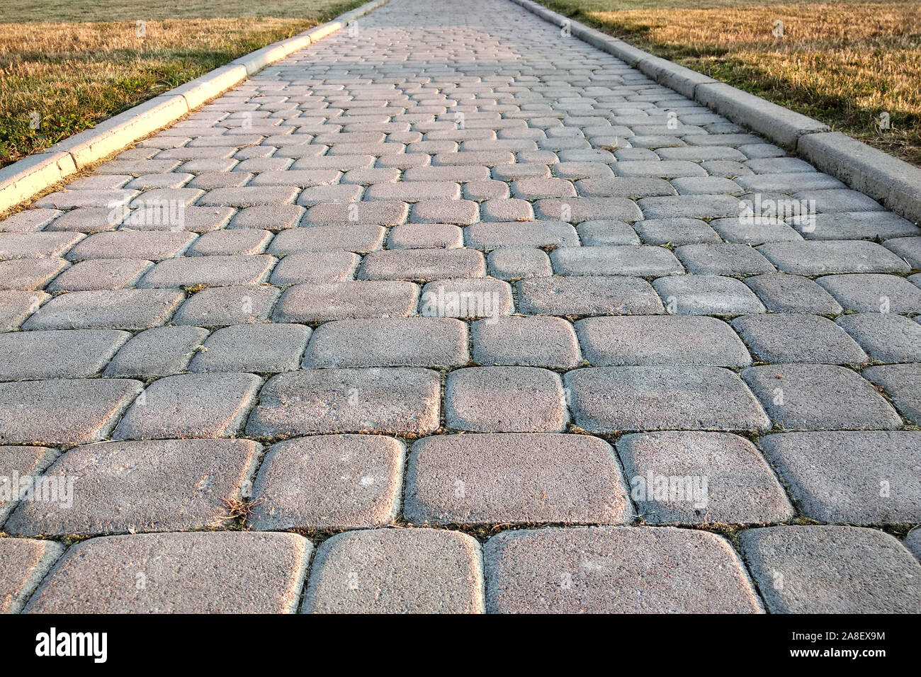 Stone Paved Road Picture