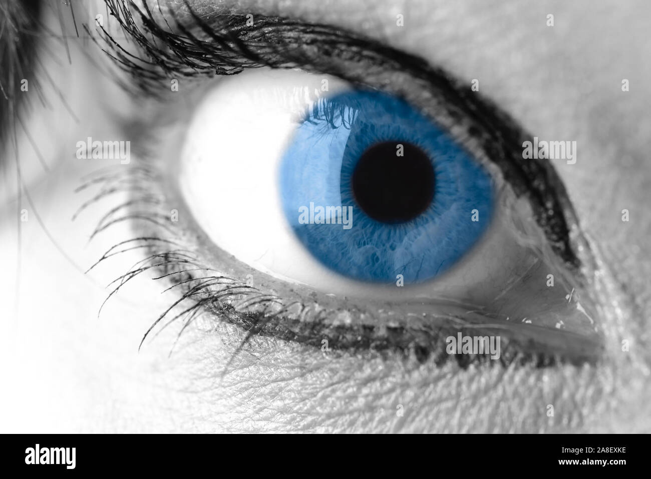 Nahaufnahme eines blauen Auges, Sehnerv, Sehen, Stock Photo