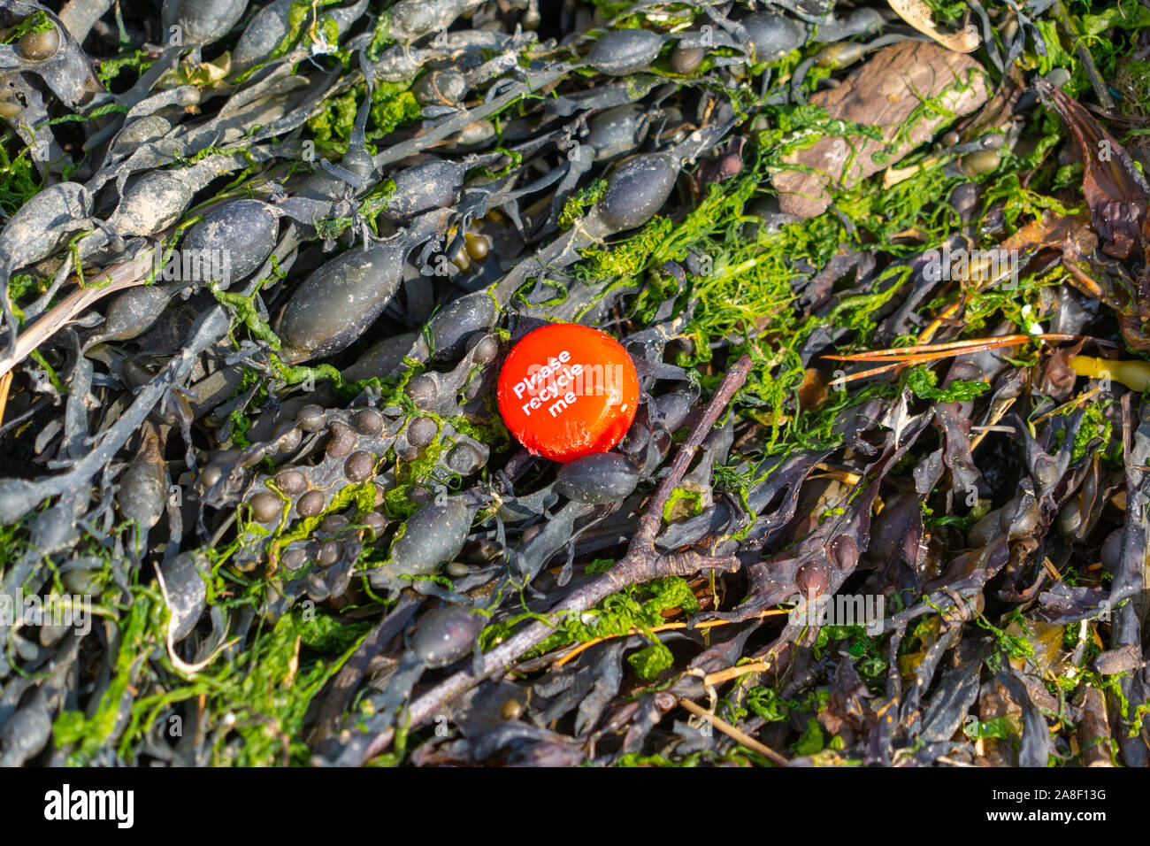 Colabeach Stock Photos Colabeach Stock Images Page 3