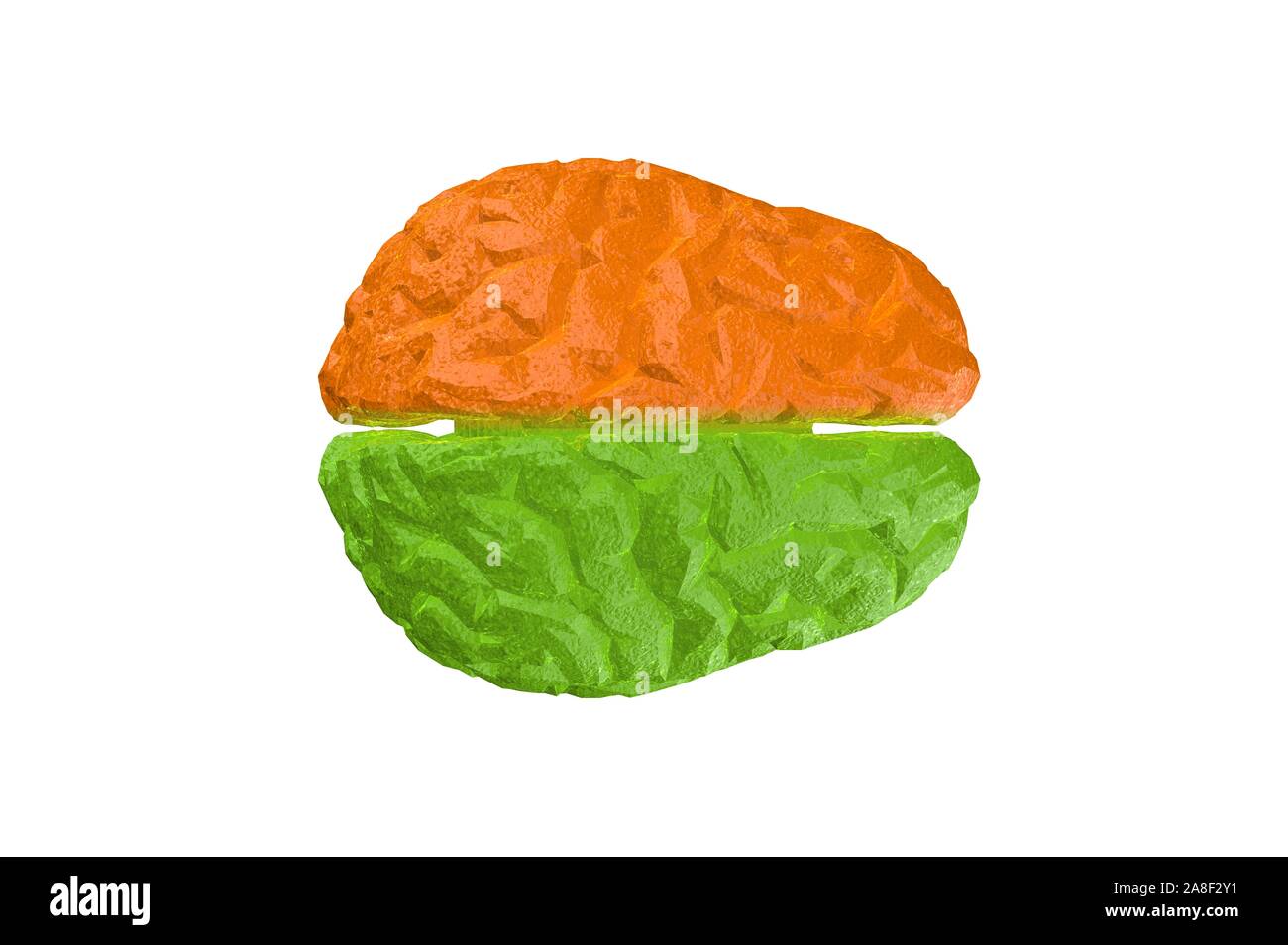 Human Brain Anatomical Model 3D Rendering Stock Photo - Alamy
