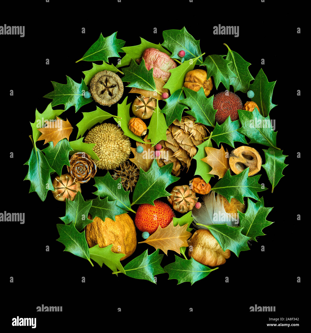 Scanography hi-res stock photography and images - Alamy