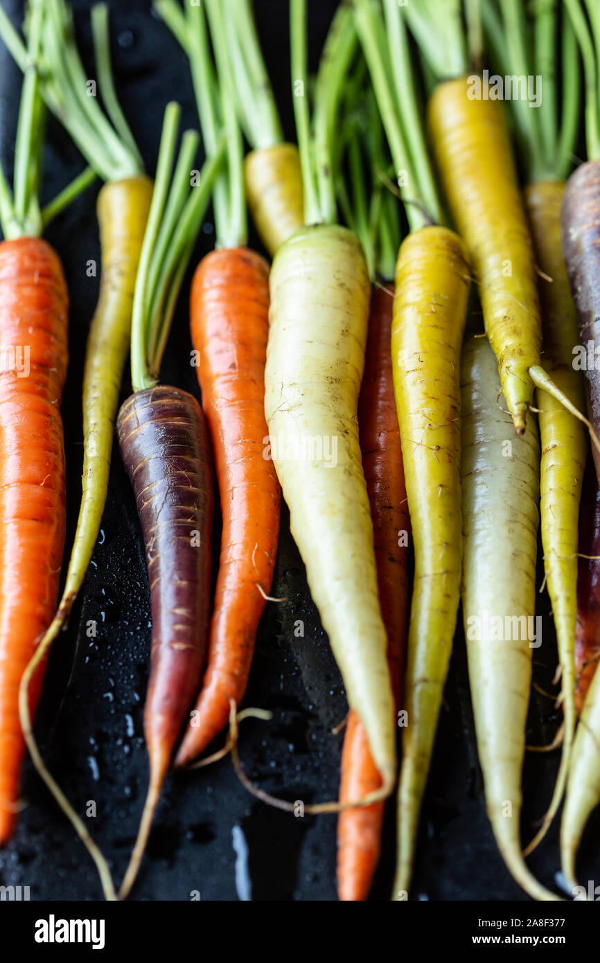 Multi colored carrots on black background Stock Photo Alamy