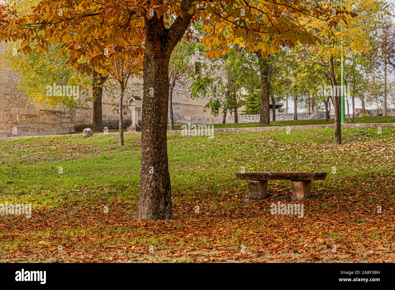 Bench in the shadow of a walnut with the grass plagued with leaves in autumn. The Henar Cuellar. Castilla and Leon. Spain Stock Photo