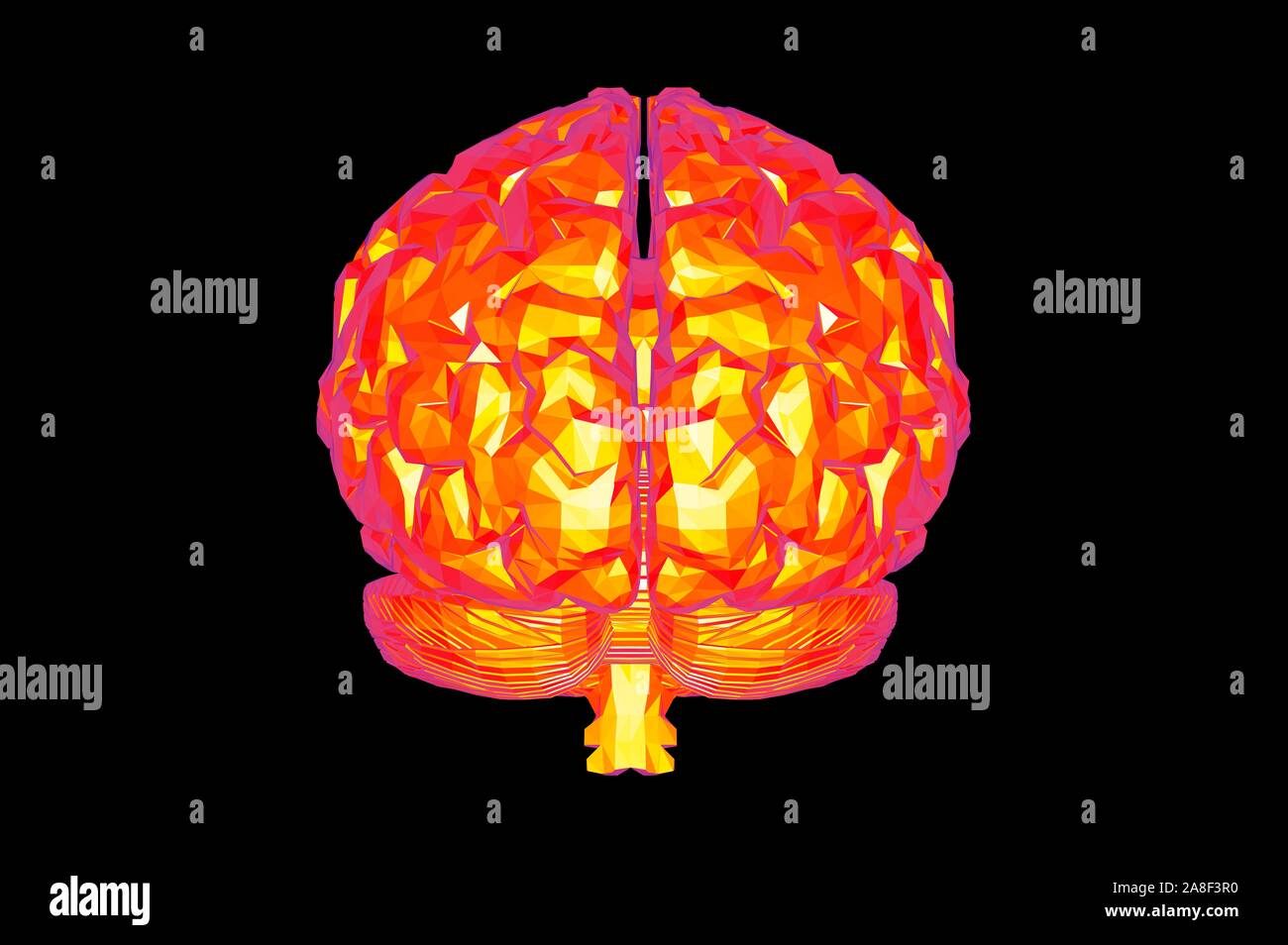 Human Brain Anatomical Model 3D Rendering Stock Photo - Alamy