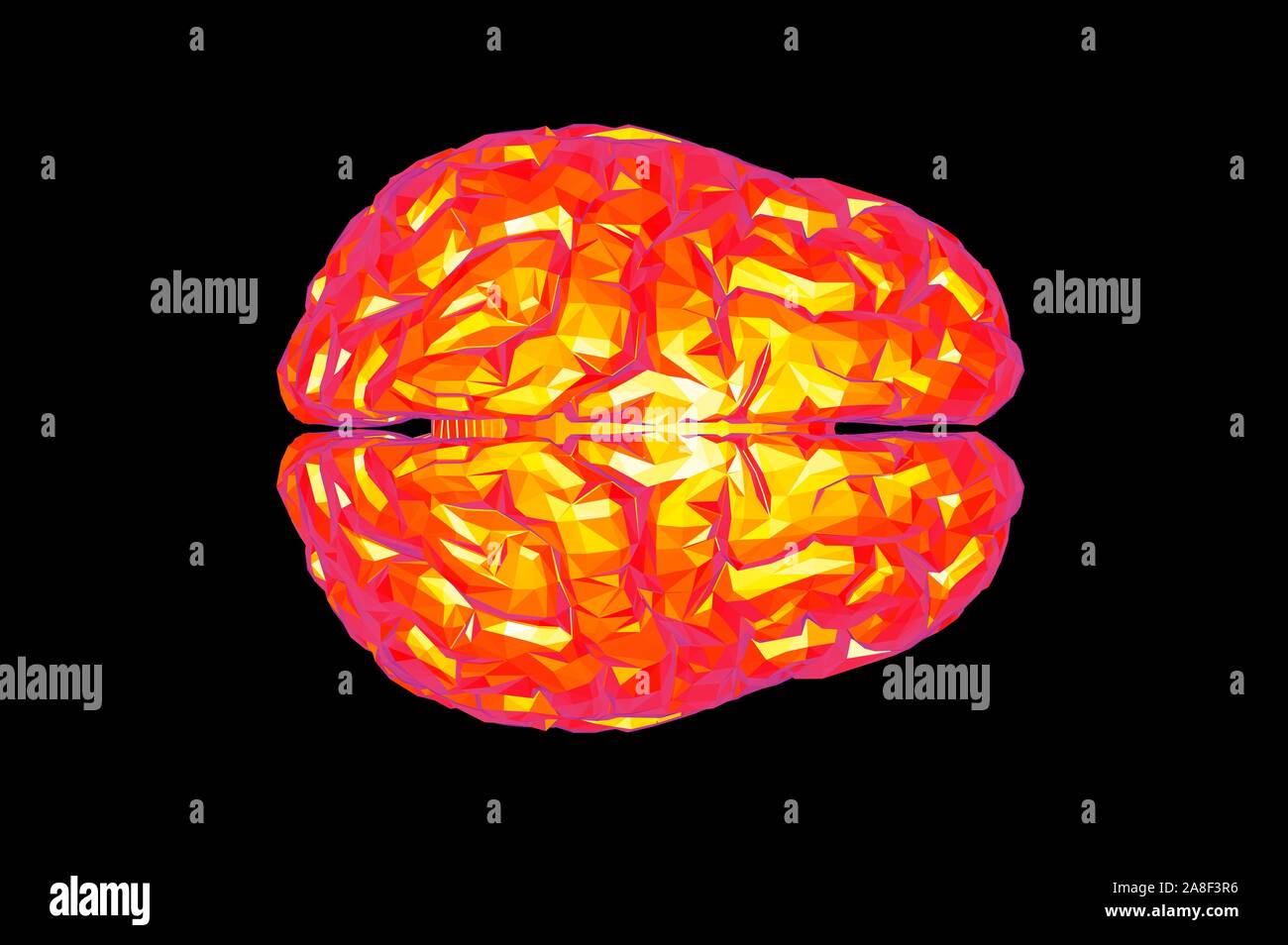 Human Brain Anatomical Model 3D Rendering Stock Photo - Alamy