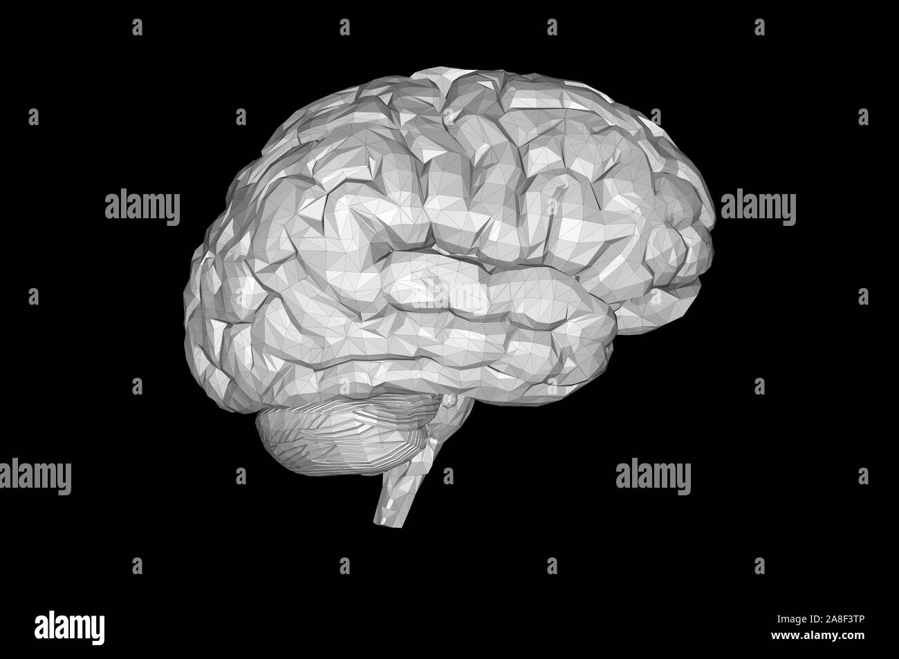 Human Brain Anatomical Model 3D Rendering Stock Photo Alamy