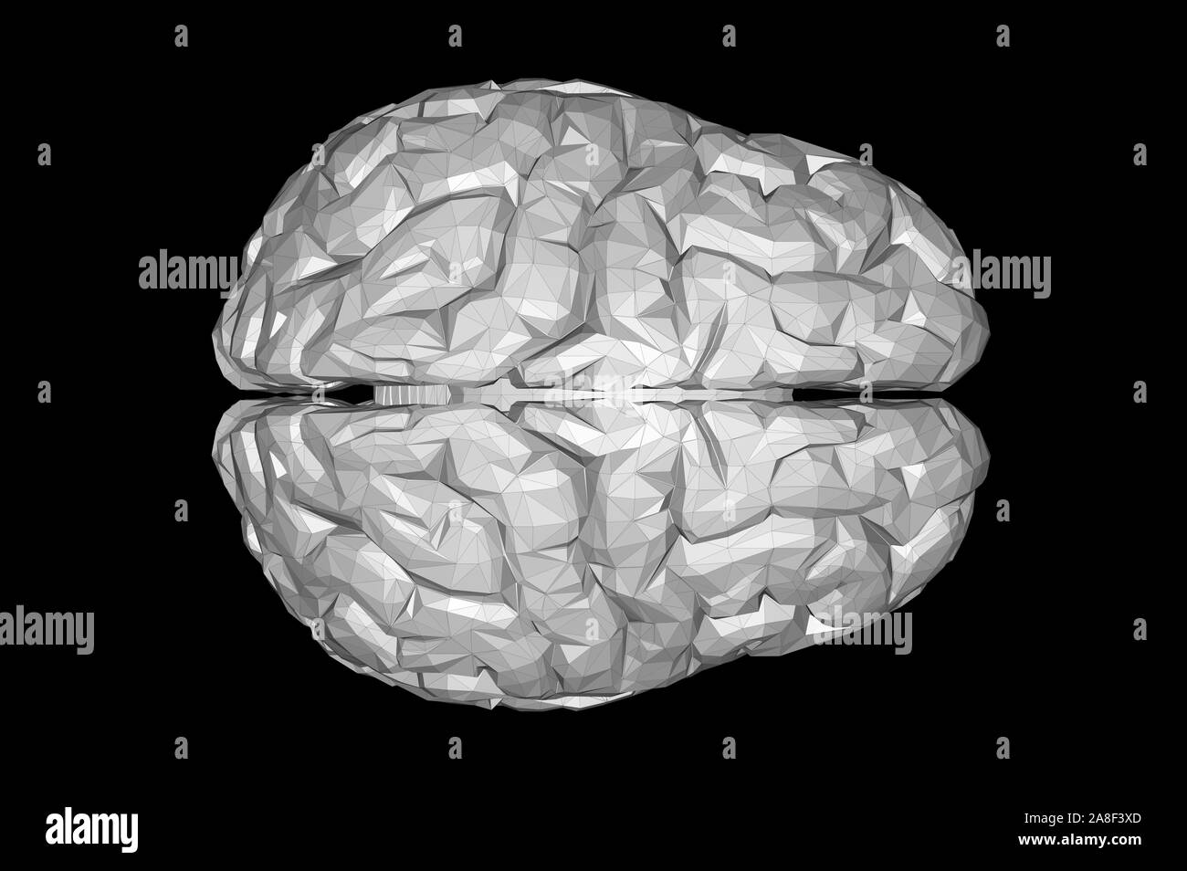 Human Brain Anatomical Model 3D Rendering Stock Photo Alamy