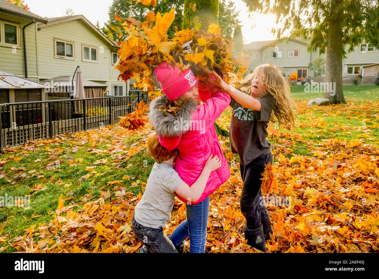 Children playing with leaves in Autumn Stock Photo - Alamy