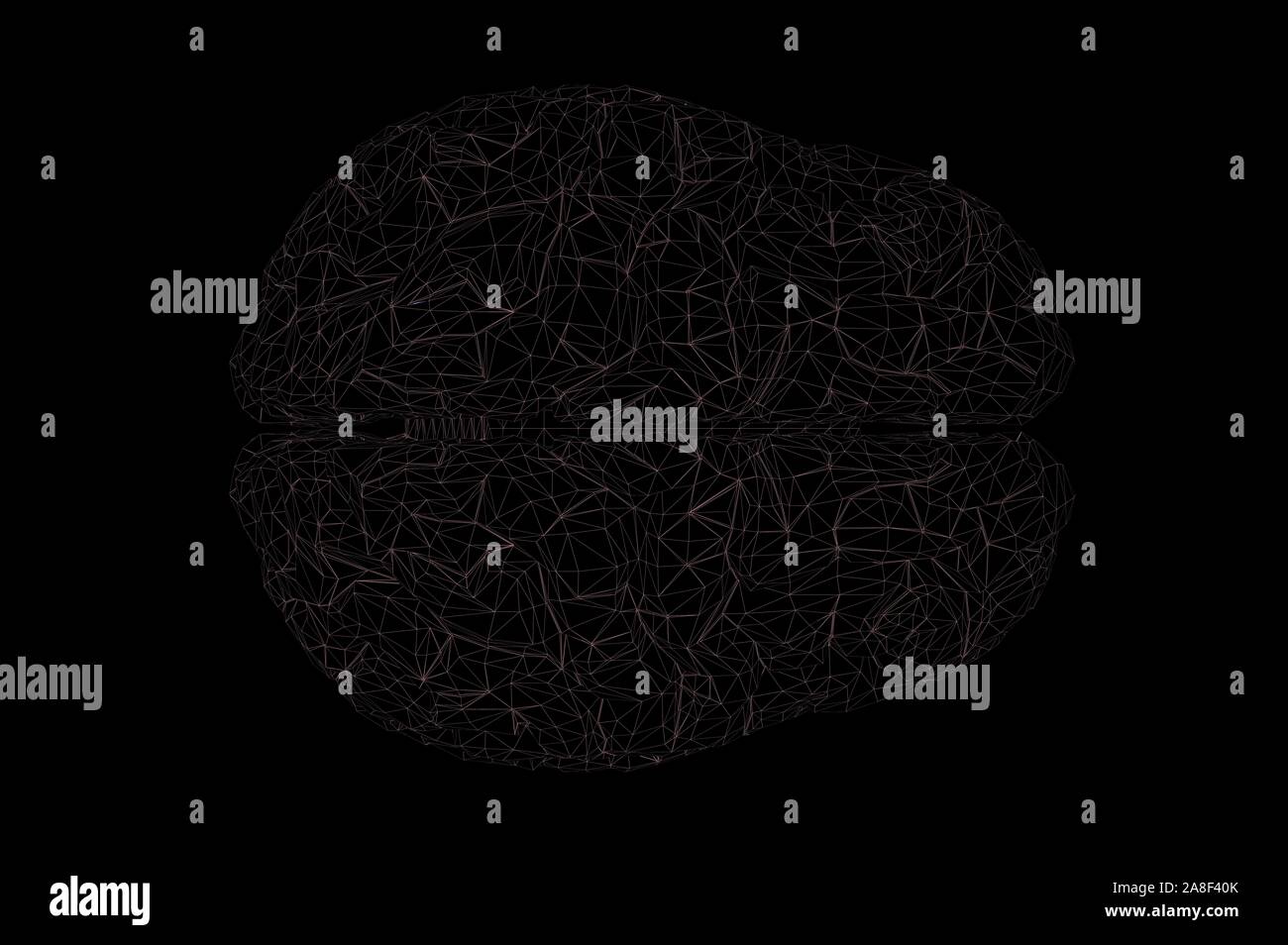 Human Brain Anatomical Model 3D Rendering Stock Photo - Alamy
