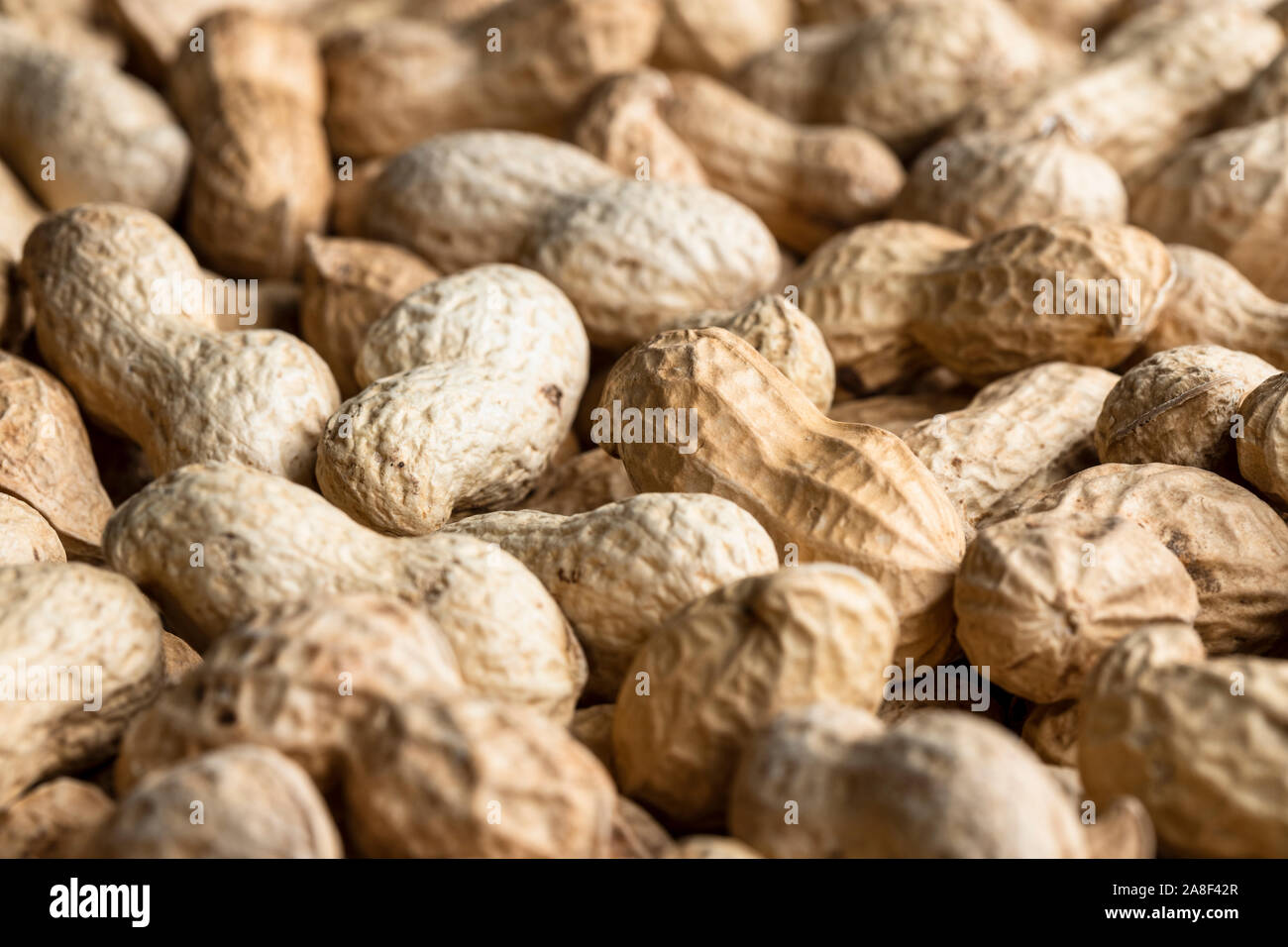 Pile of raw peanuts in shells Stock Photo Alamy