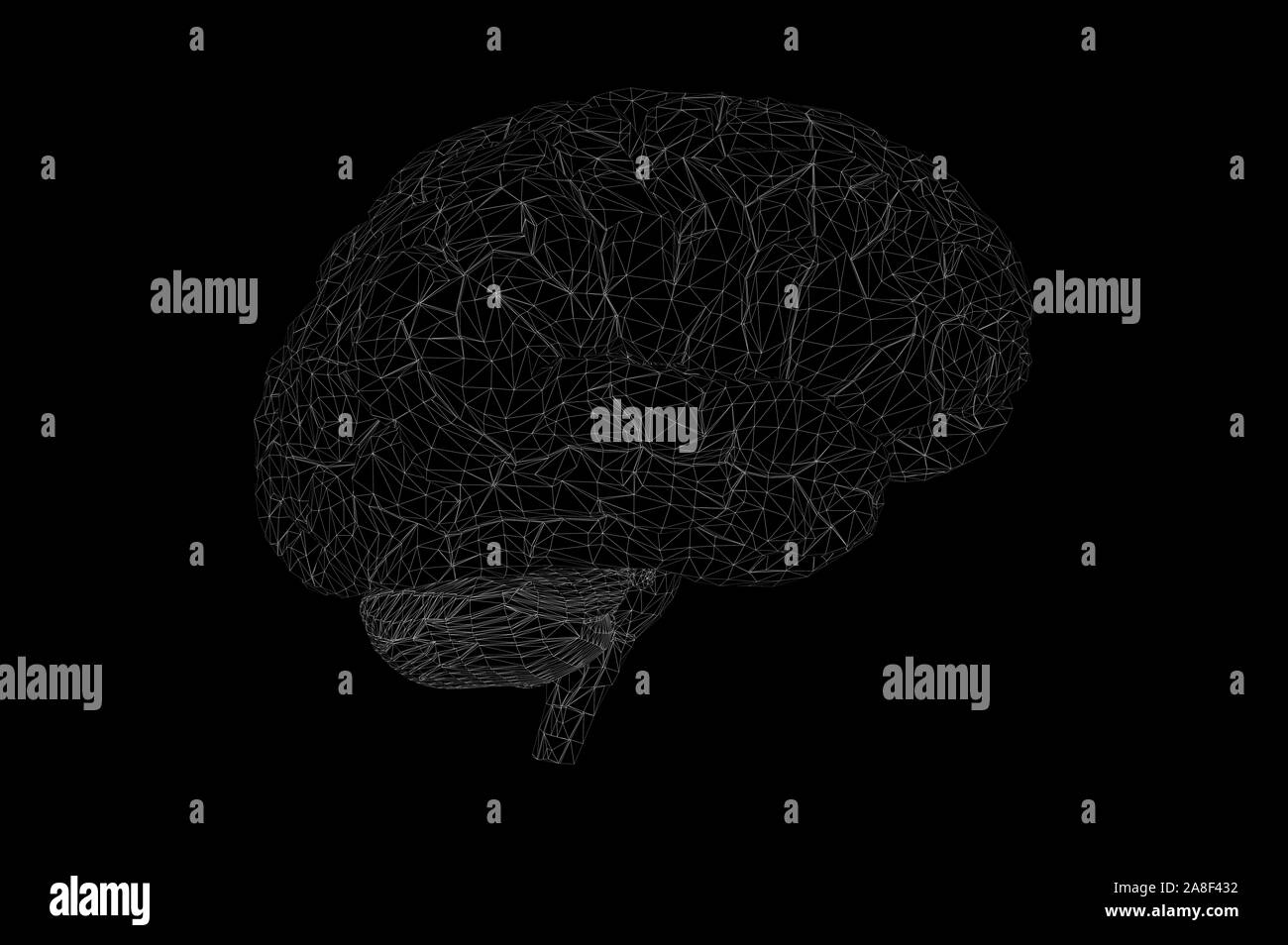 Human Brain Anatomical Model 3D Rendering Stock Photo - Alamy