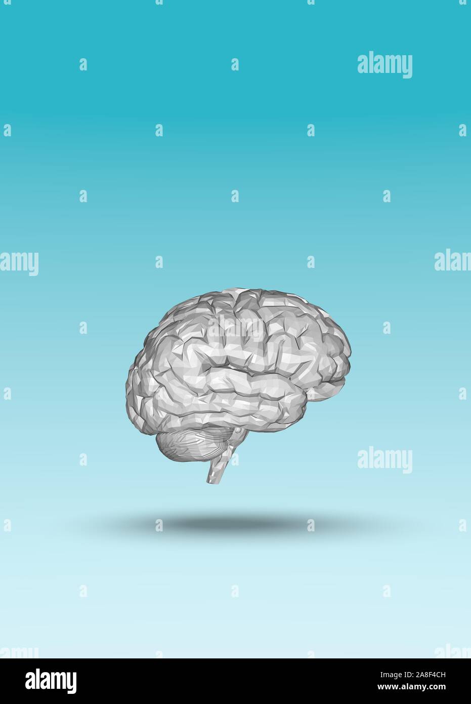 Human Brain Anatomical Model 3D Rendering Stock Photo - Alamy
