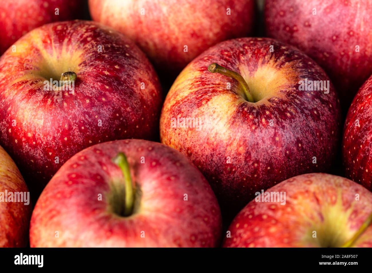 Close-up of red apples Stock Photo