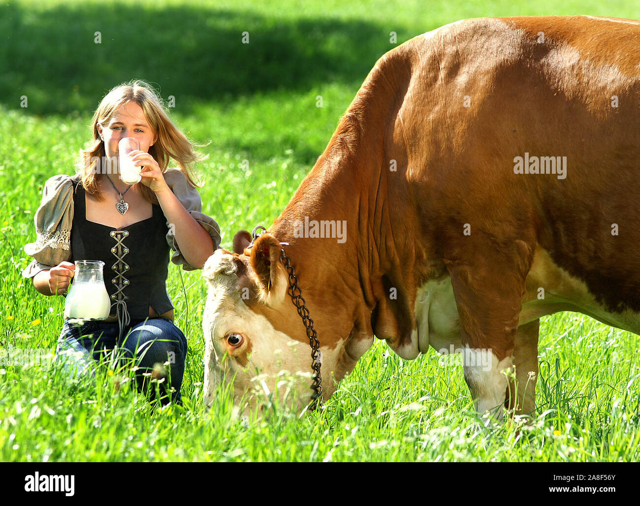 Weltmilchtag 1. Juni, Junge Frau mit Kuh trinkt Milch, 20-30, Jahre, MR: Yes Stock Photo