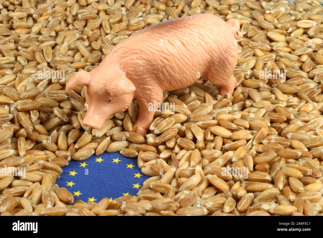 Eurozeichen und Schweinchen, Stock Photo