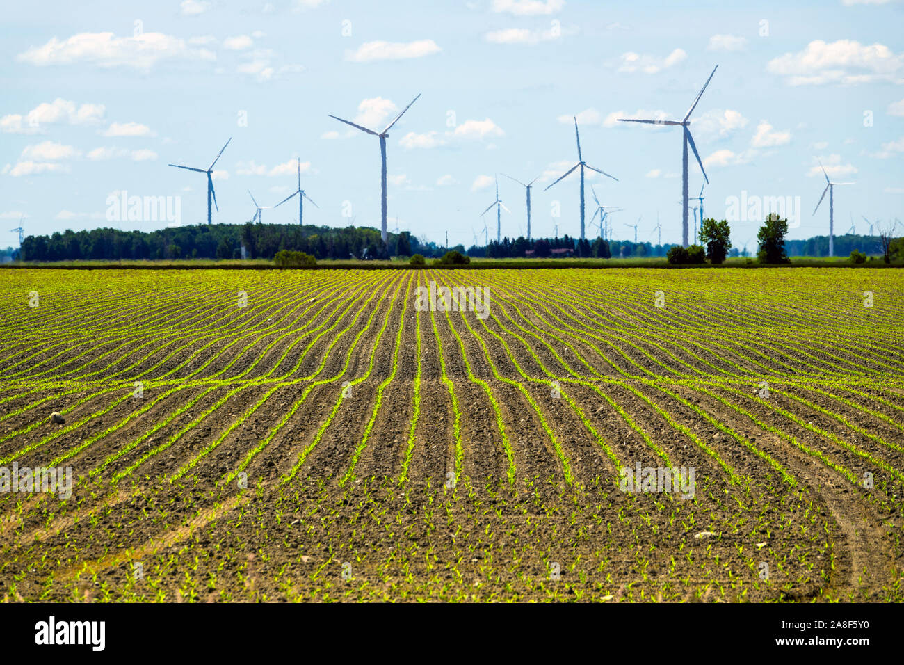 Located in Caseville Michigan in the thumb area of Michigan. A wind
