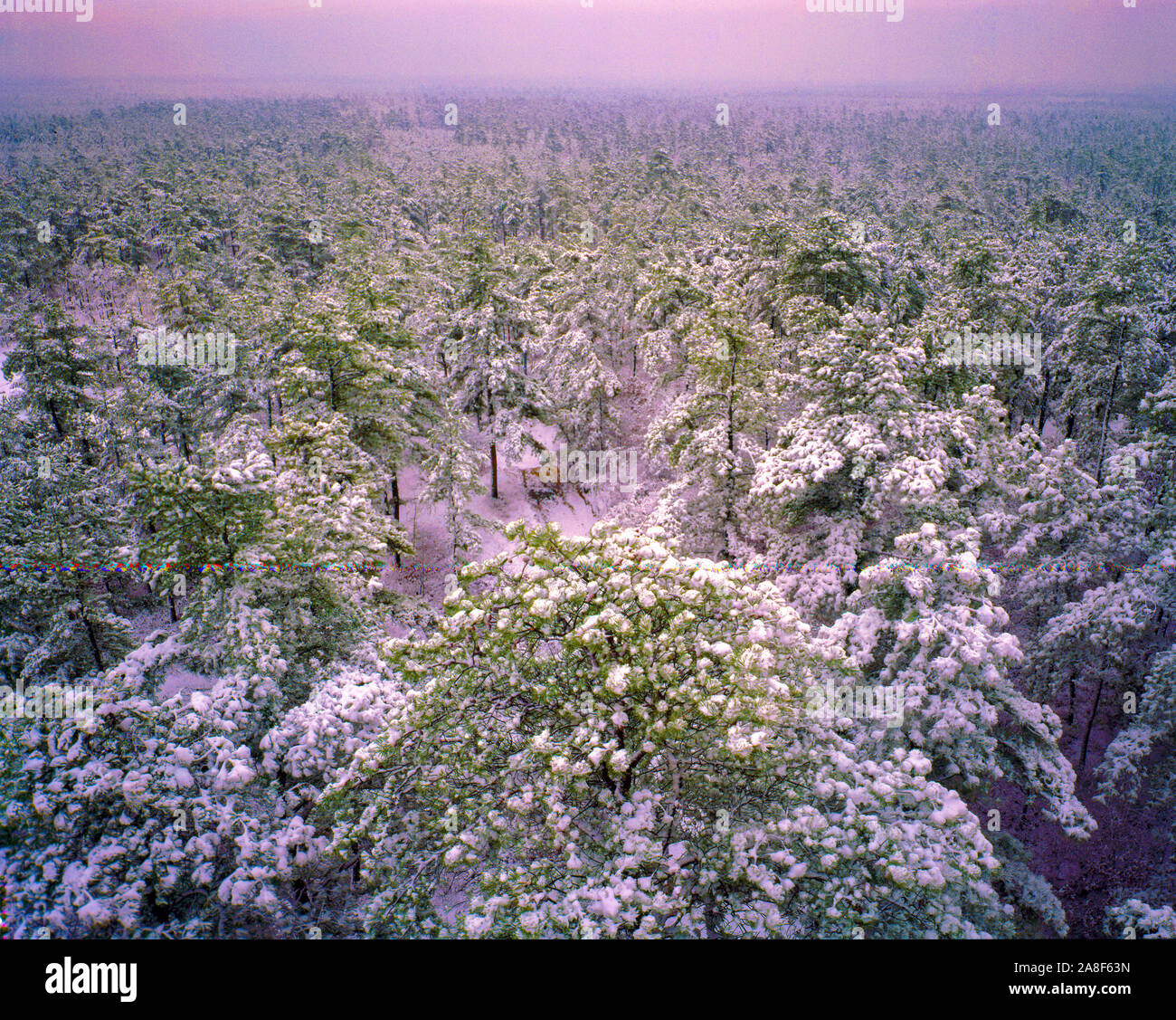 Pinelands national reserve, new jersey hi-res stock photography and