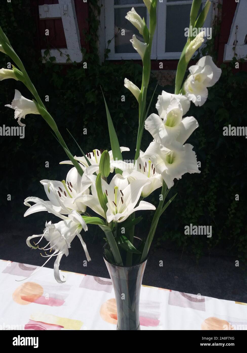 Bouquet de lys Nanova, Ismène festalis et Glaïeuls blancs Stock Photo