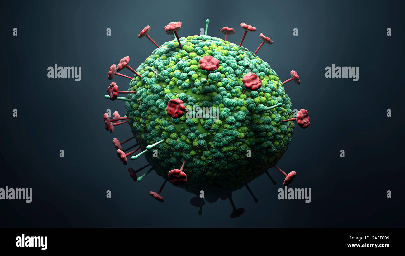 Nipah virus, illustration Stock Photo - Alamy