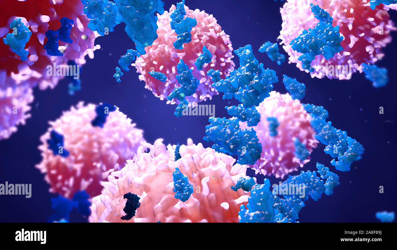White blood cells and proteins, illustration Stock Photo Alamy
