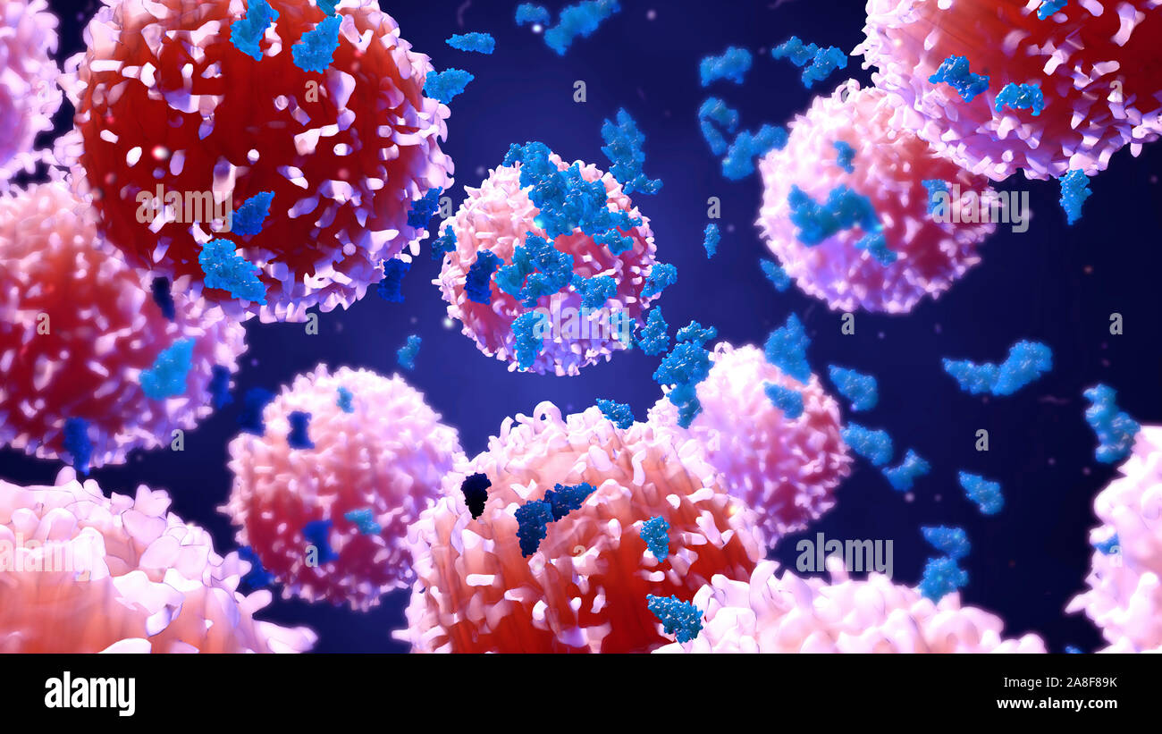 White blood cells and proteins, illustration Stock Photo Alamy