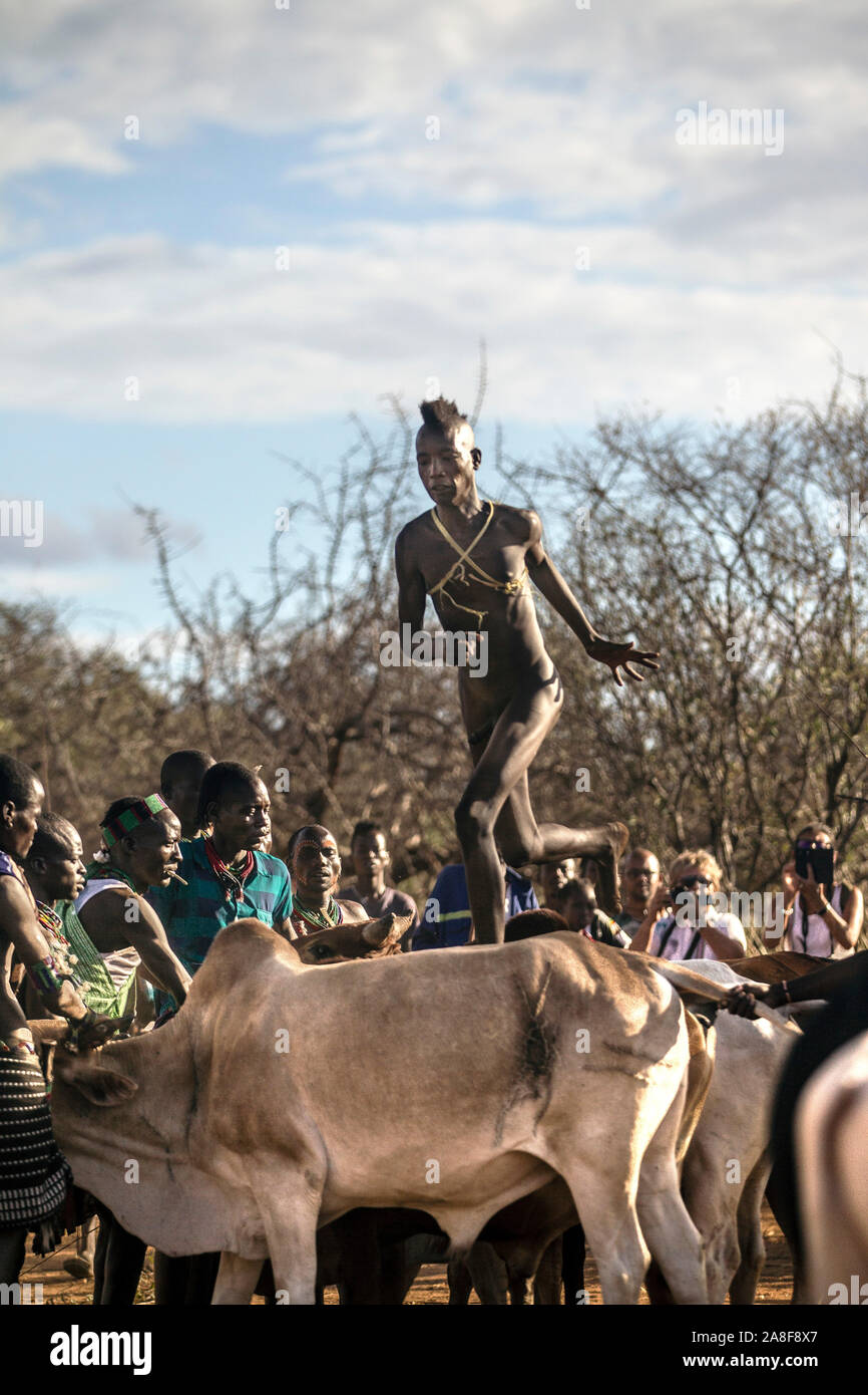 Young man bull jumping Hamar tribe ceremony Turmi Ethiopia Stock Photo