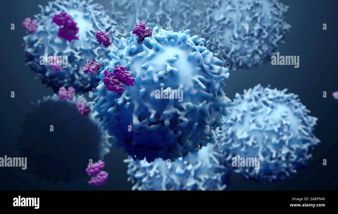 White blood cells and proteins, illustration Stock Photo Alamy