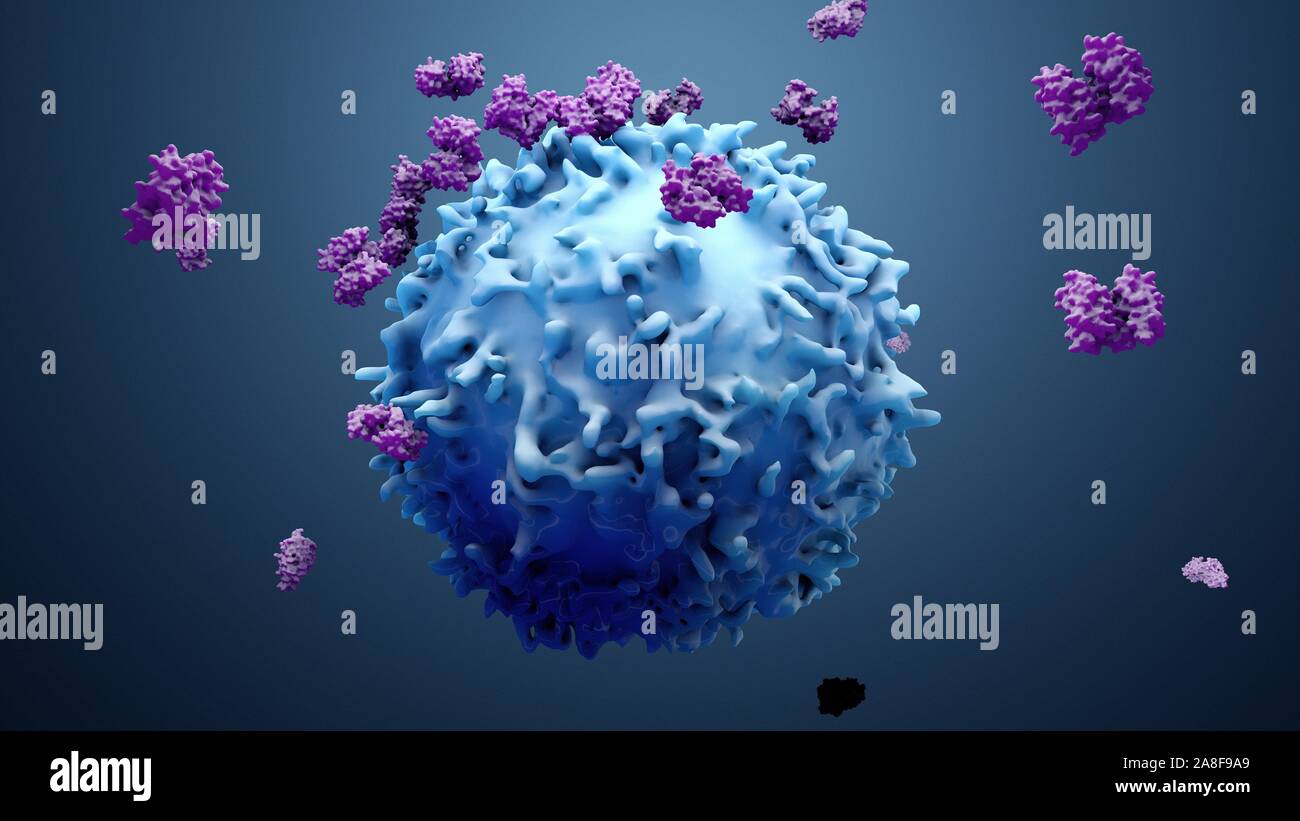 White blood cell and proteins, illustration Stock Photo Alamy