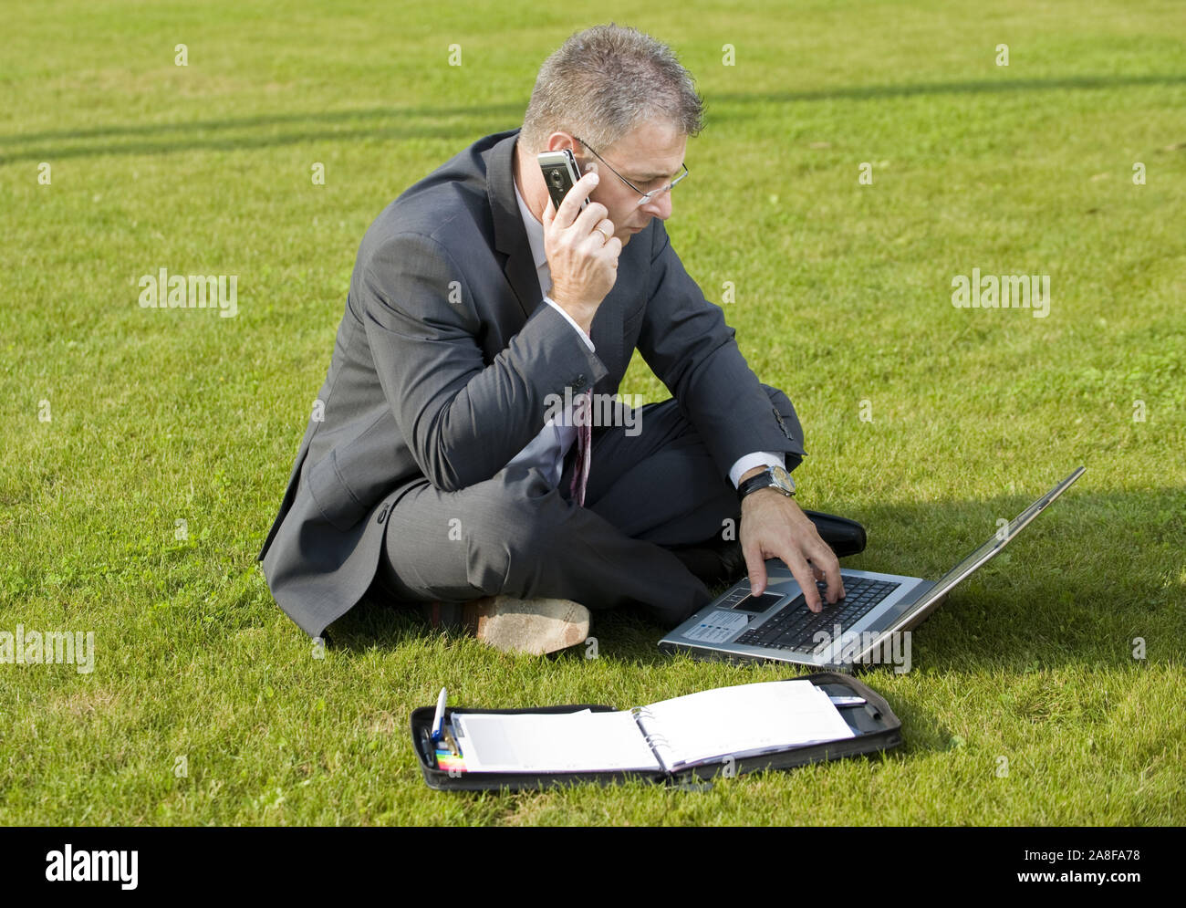 Geschäftsmann sitzt auf einer Wiese, telefoniert, Laptop, Computer, MR:Yes Stock Photo