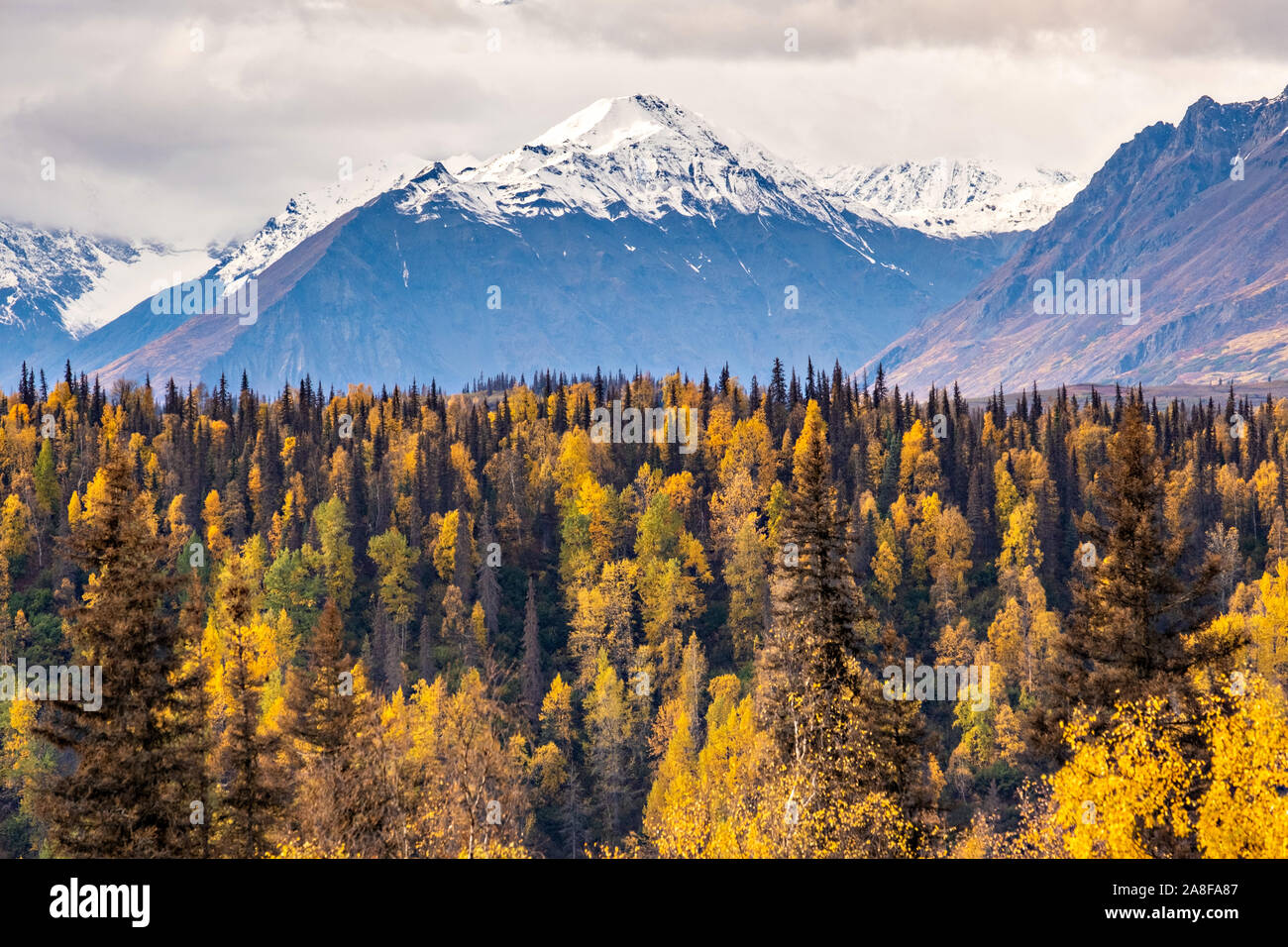 Termination dust, early snow, falls over the Alaska Range of mountains along the East Fork Chulitna River in Denali State Park near Cantwell, Alaska Stock Photo