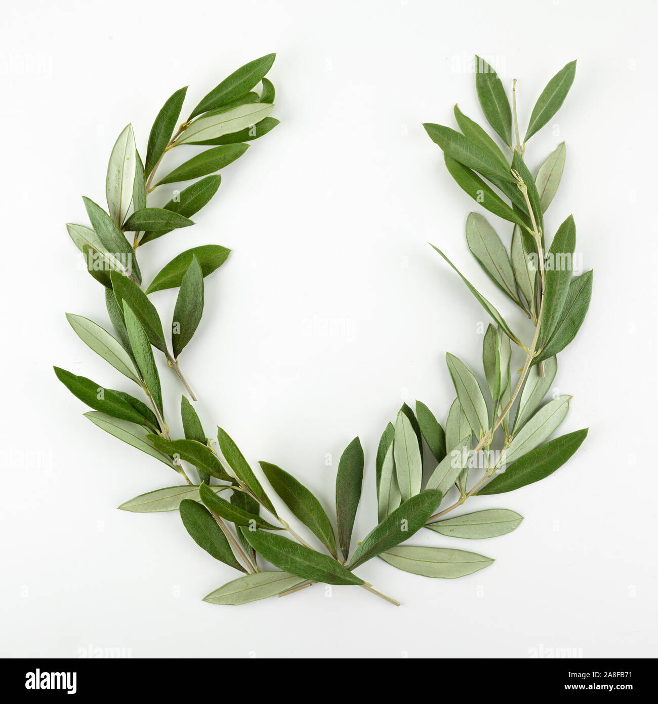 Olive leaf garland hi-res stock photography and images - Alamy
