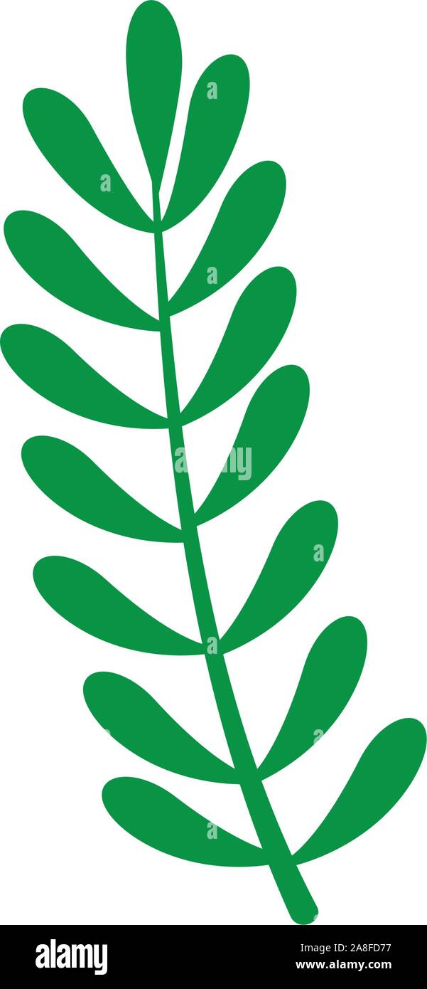 branch with leafs nature ecology isolated icon Stock Vector Image & Art ...