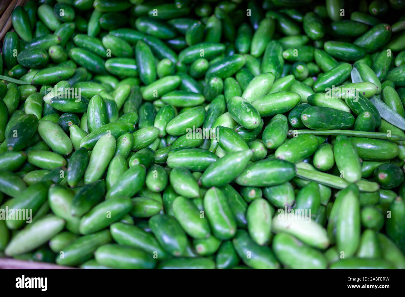 A basket full of cucumbers. Nicely displayed at a market stand in Little India, Singapore. Stock Photo