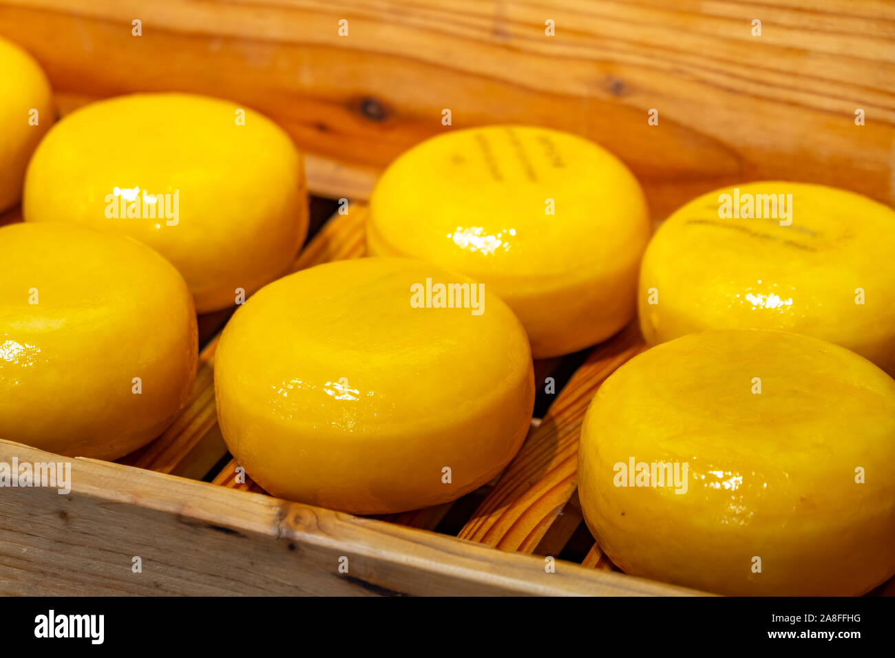 Holland cheese wheels on the shelves in diary production market. Food